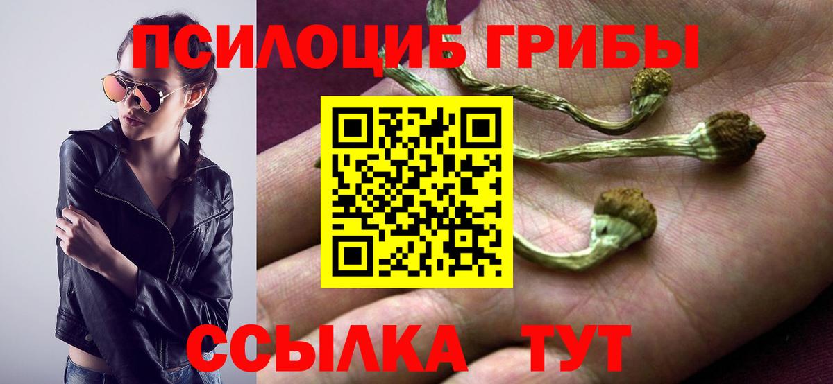 Псилоцибиновые грибы MAGIC MUSHROOMS Губкинский