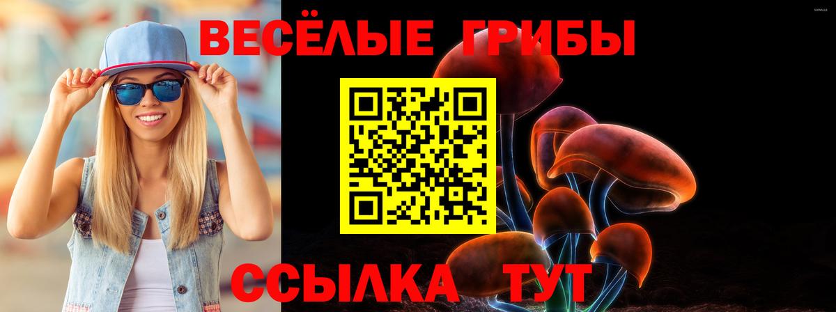 Галлюциногенные грибы Psilocybe  Псилоцибиновые грибы Psilocybe  Губкинский  Вход с VPN 
